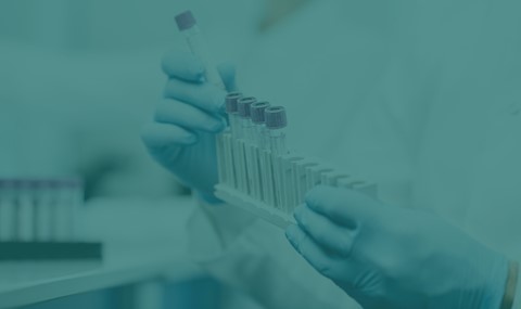 Hematología