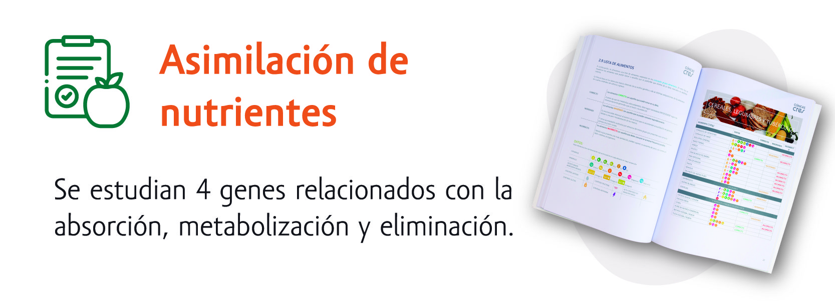 tolerancia-alimentos-nutrigenetica