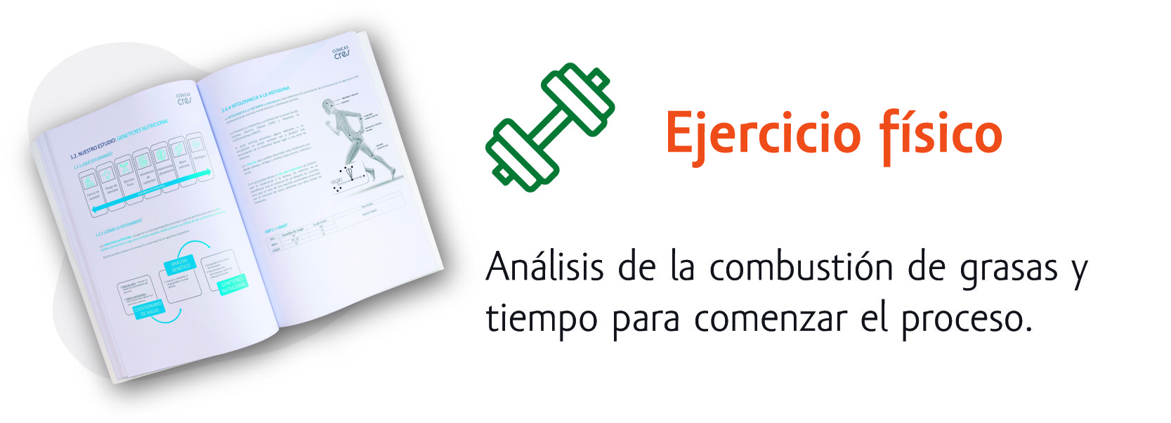 test-quema-grasa