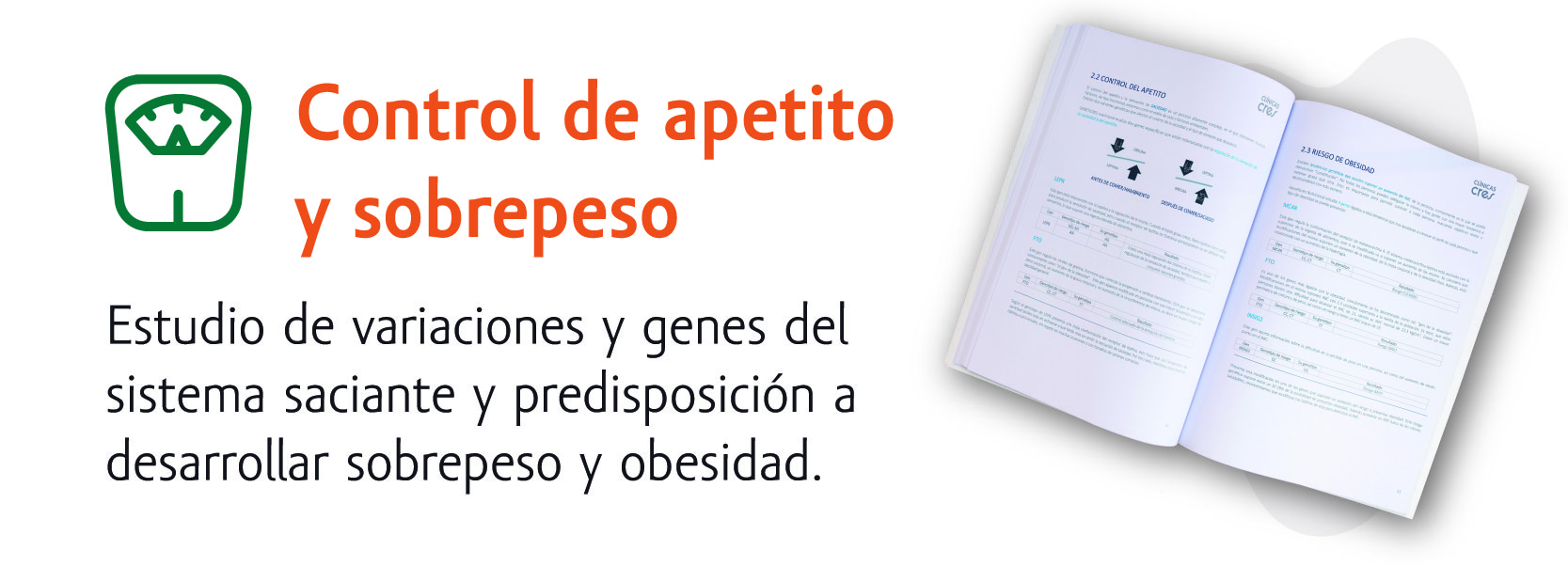 test-obesidad