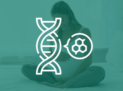 Test Prenatal No Invasivo
